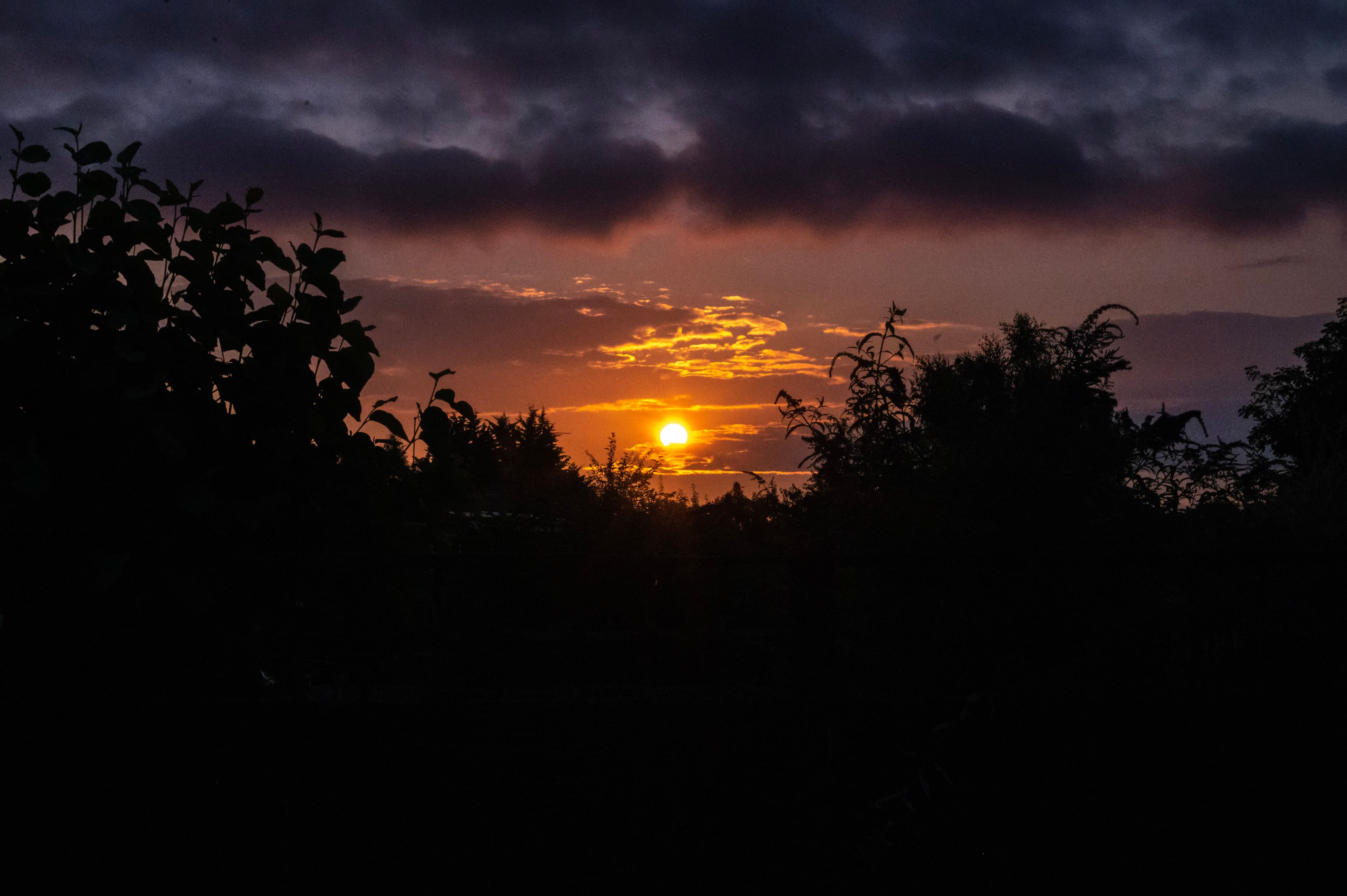 Photography by Conrad Annan - Street Photography